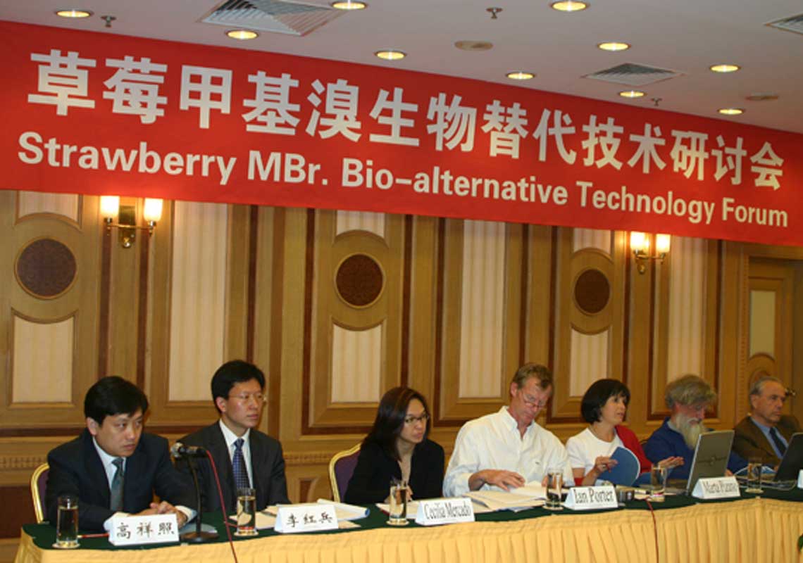 聯(lián)合國環(huán)境署、聯(lián)合國工發(fā)組織等機(jī)構(gòu)出席了我公司舉行的草莓甲基溴生物替代技術(shù)研討會